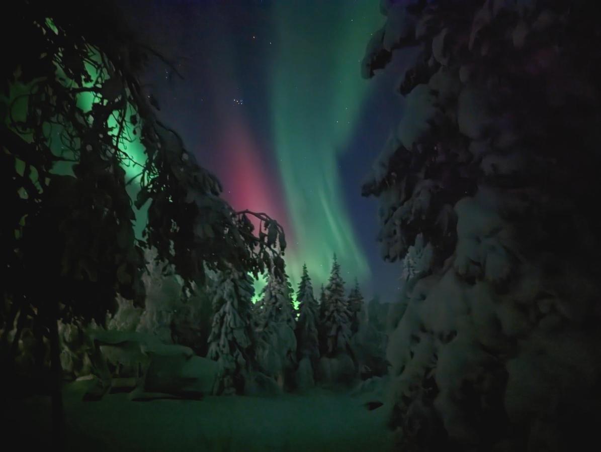 Lapland Snow Cabin Masugnsbyn Ngoại thất bức ảnh