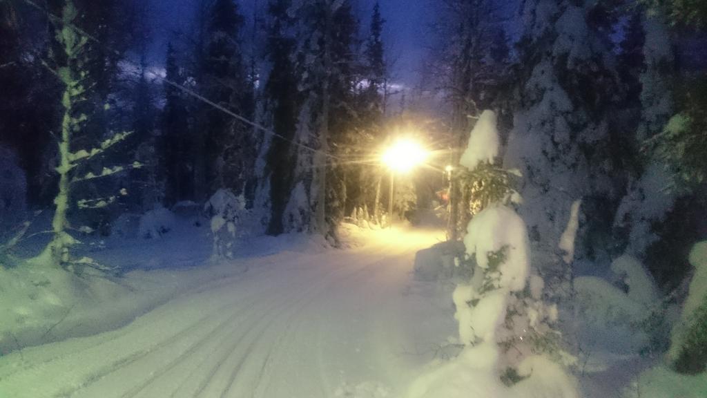 Lapland Snow Cabin Masugnsbyn Ngoại thất bức ảnh