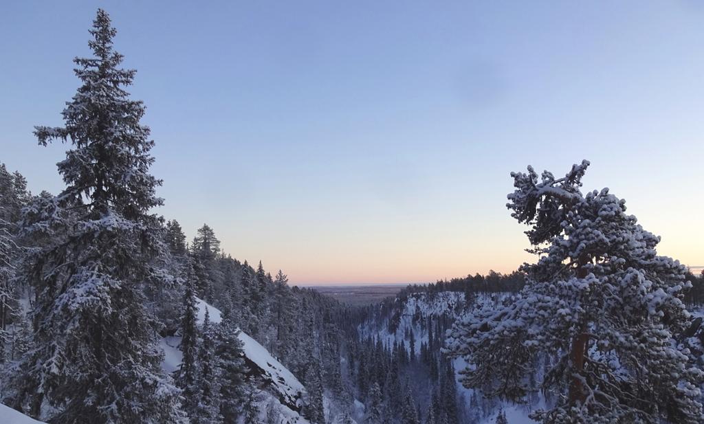 Lapland Snow Cabin Masugnsbyn Ngoại thất bức ảnh