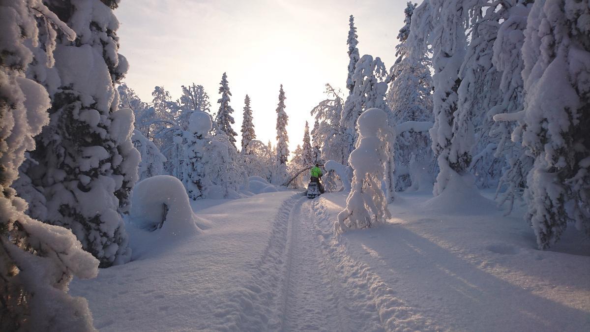 Lapland Snow Cabin Masugnsbyn Ngoại thất bức ảnh
