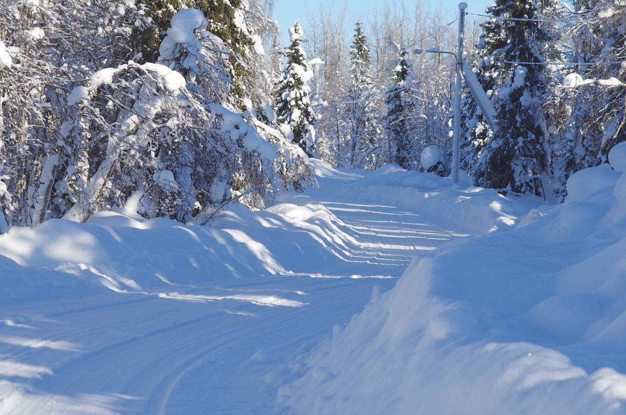 Lapland Snow Cabin Masugnsbyn Ngoại thất bức ảnh